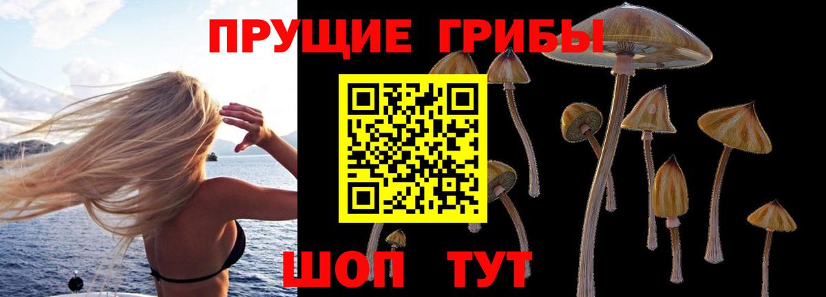 Галлюциногенные грибы мицелий  Вход с VPN  Урюпинск 