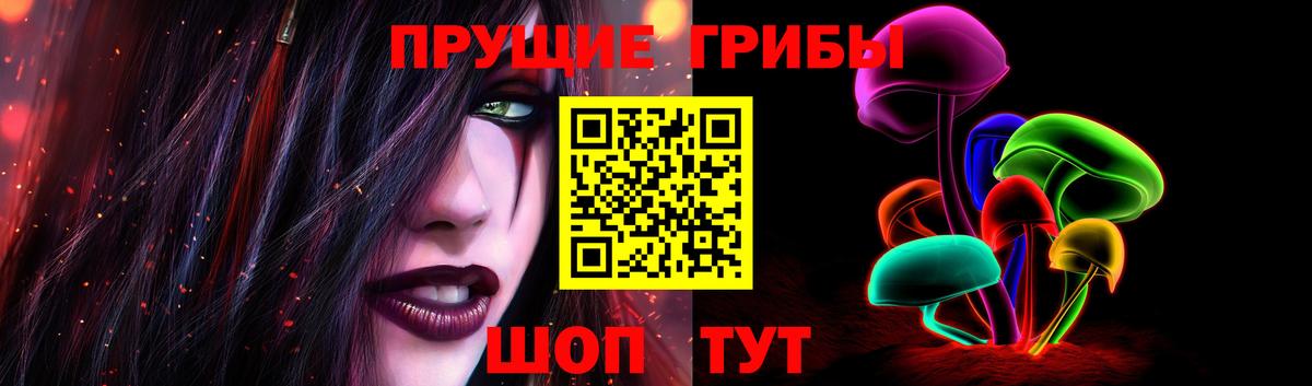 Галлюциногенные грибы Cubensis Урюпинск